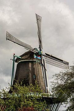 Moulin à farine le Bleeke Dood à Zaandijk. sur Zaankanteropavontuur