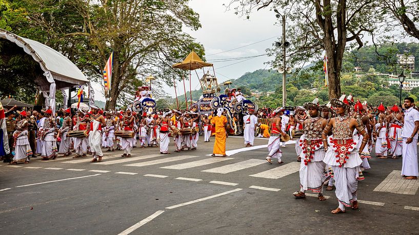 Das Perahera Festival in Kandy von Roland Brack