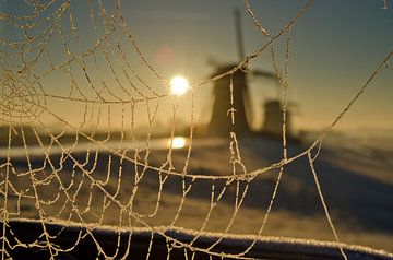 Bevroren spinnenweb  van Remco Swiers
