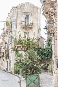 Plantes vertes dans une rue en Sicile en Italie