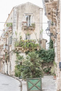 Groene planten in een straat op Sicilië in Italië van Photolovers reisfotografie