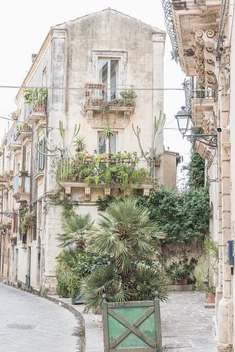 Groene planten in een straat op Sicilië in Italië