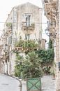 Green plants in a street in Sicily in Italy by Photolovers reisfotografie thumbnail