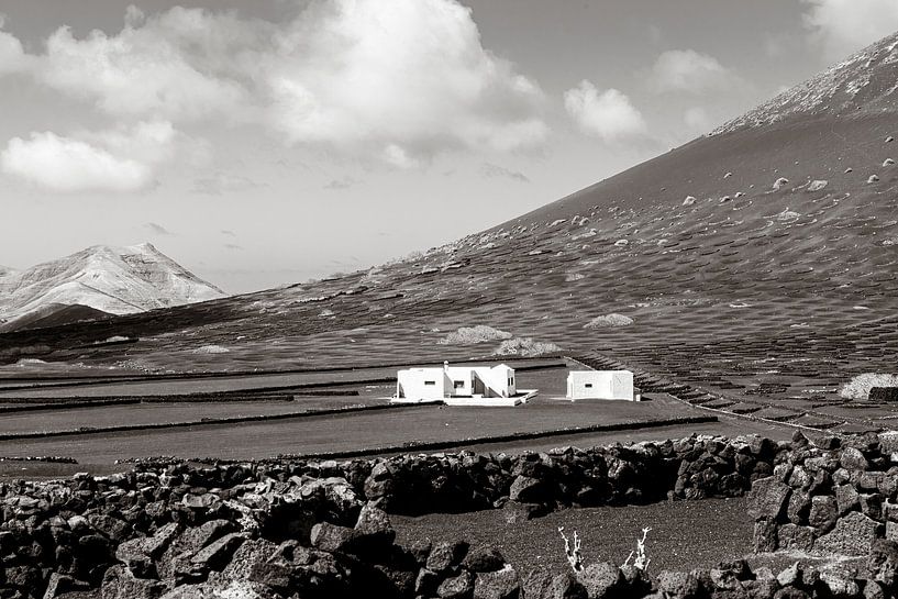 winery by Michael Schulz-Dostal
