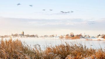 Zalk in de winter van Erik Veldkamp