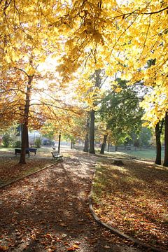 Kurpark von Bad Neustadt im Herbst im Gegenlicht