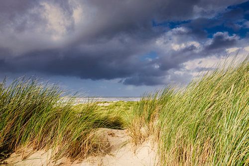 Côte de la Hollande du Nord avec des dunes en automne