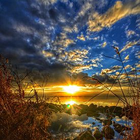 Martijn Prins Profile picture