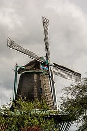 Zaanse meelmolen de Bleeke Dood in Zaandijk. van Zaankanteropavontuur