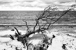 Haltlos am Strand
