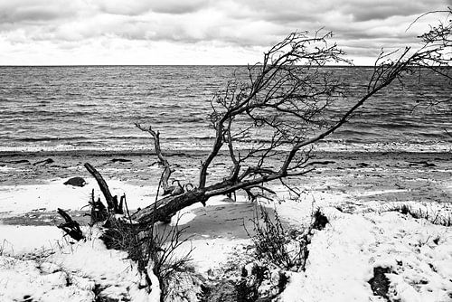 Unstable on the beach