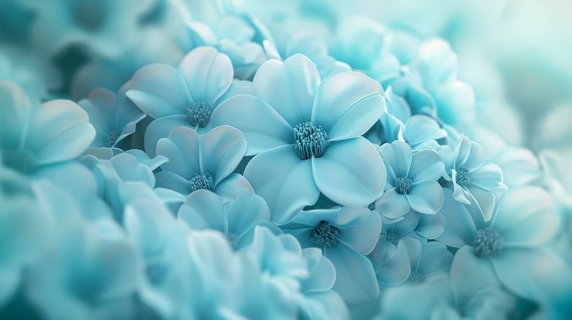Blüte von Imagine