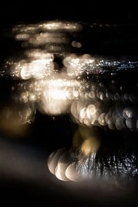 Das Leben reflektiert