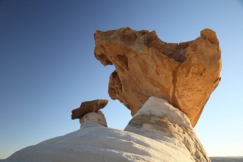 Hoodoo Forest (Rimrocks North) Grand Staircase-Escalante National Monument in zuidelijk Utah, Vereni van Frank Fichtmüller