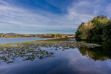 A day at the lake in the Werratal by Oliver Hlavaty