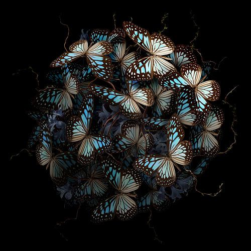 Morphogenic: Blue II