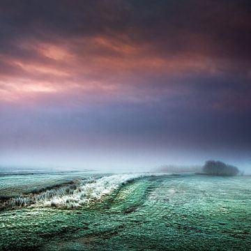 Foggy meadows sur Ruud Peters