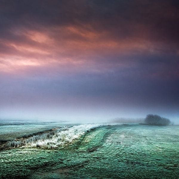Foggy meadows par Ruud Peters