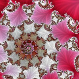 Newton 23 by Claudia Gründler