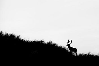 Retour à la simplicité