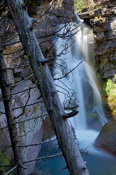 Baring Falls, Glacier National Park, Montana van Frank Fichtmüller