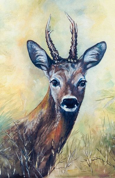 Young fawn-Levidium Designing by Levente Luca