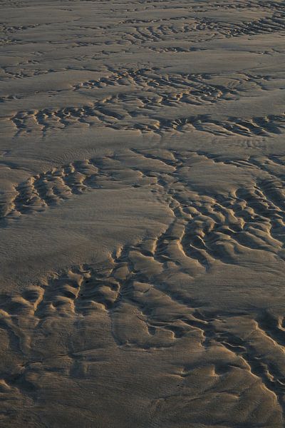 Linien im Sand von Ronald Pol