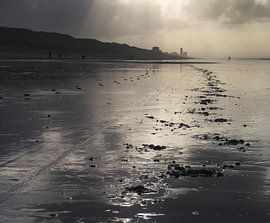 Who walked here? by Hans Heemsbergen