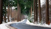 Sneeuwweg van Sake van Pelt thumbnail