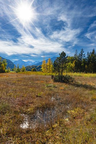 Moerasvijver in de herfst; Allgäu