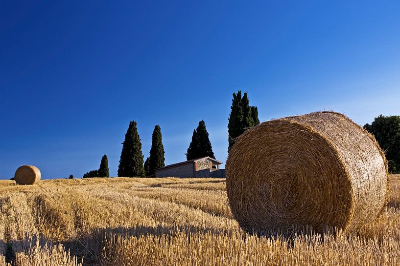 The Tuscan Gold by Niels den Otter