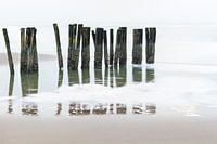 Wellenbrecher entlang der Küste