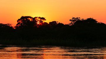 Zonsondergang over de Okavango Rivier van Timon Schneider