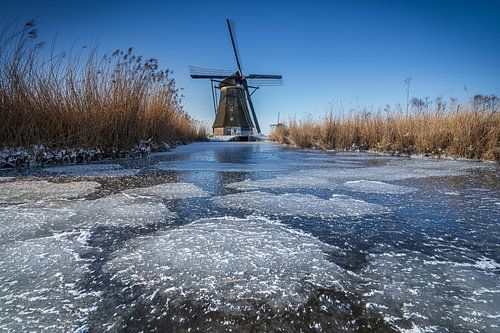 Winter bij Kinderdijk