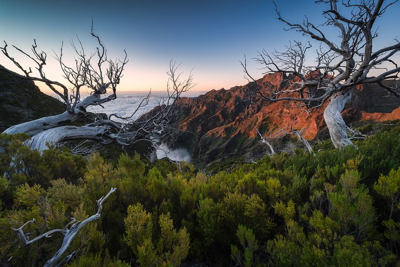 The colours of the Dawn by Loris Photography