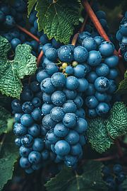 Close-up of Dewdrops on Grapes by Art & Soul Creations