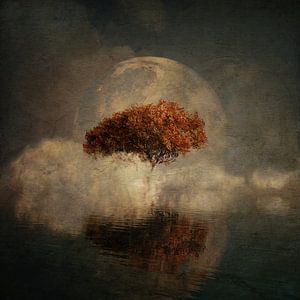Traumlandschaft – Landschaft aus Ihren Träumen mit Vollmond und dem Meer