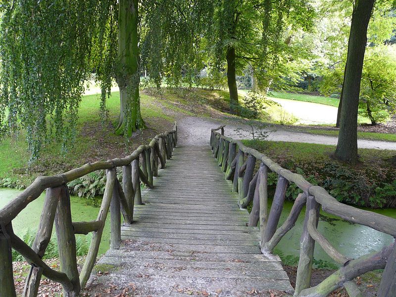 gytsjerk by Cassandra Benedick