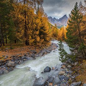 Die Schweiz im Herbst - Herbst in der Schweiz von Ronald Bergkamp Nature Photography