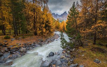 Switzerland in autumn - Autumn in Switzerland by Ronald Bergkamp Nature Photography