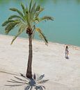 Palma by Henriette Tischler van Sleen thumbnail