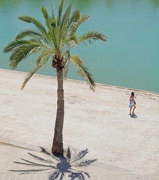 Palma by Henriette Tischler van Sleen