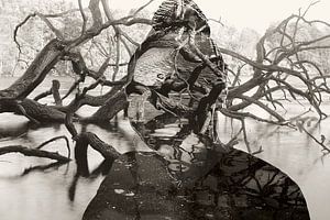 Sepia-Chemie