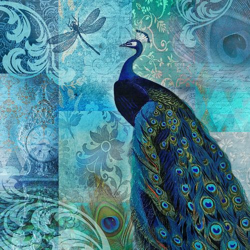 Blauer Pfau