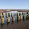 Groynes on the quiet beach of Westenschouwen by Claire van Dun