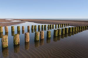 Groynes on the quiet beach of Westenschouwen