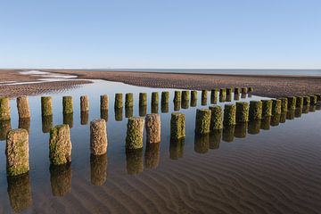 Paalhoofden op het stille strand van Westenschouwen van Claire van Dun