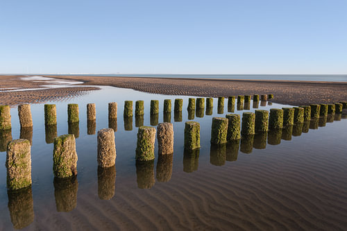 Paalhoofden op het stille strand van Westenschouwen