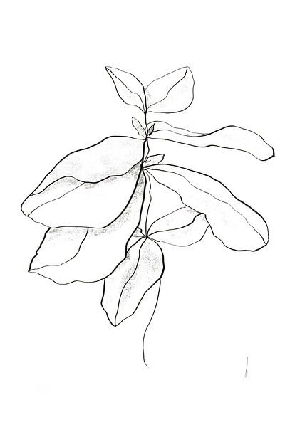 Dessin au trait d'une plante de menthe par AnkieArt