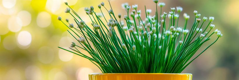 Kräutertopf von Poster Art Shop